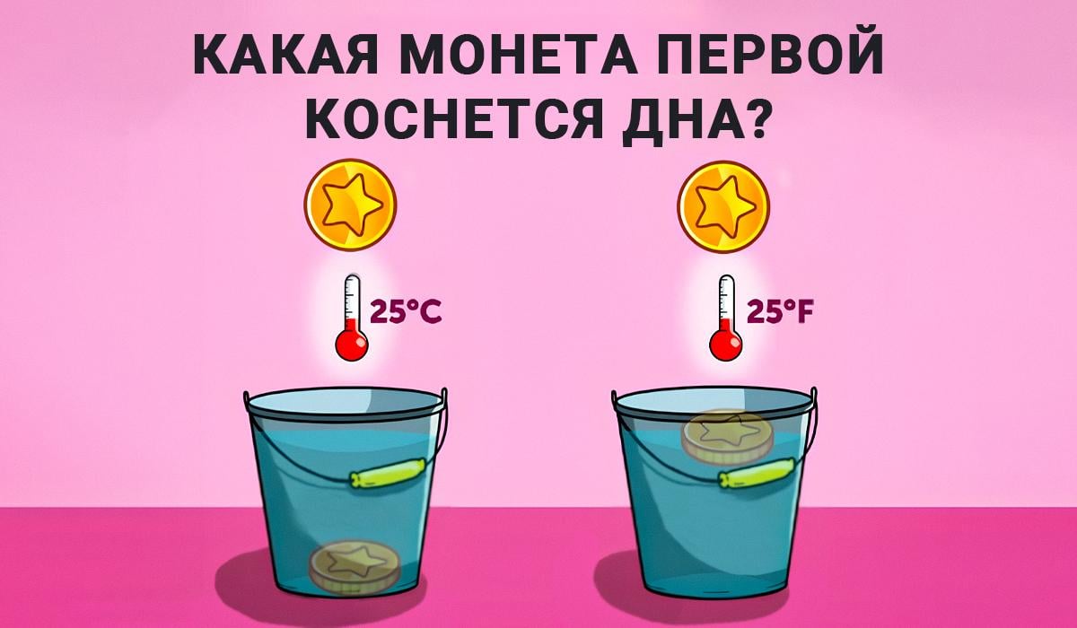 Svar på IQ-test / collage Moje