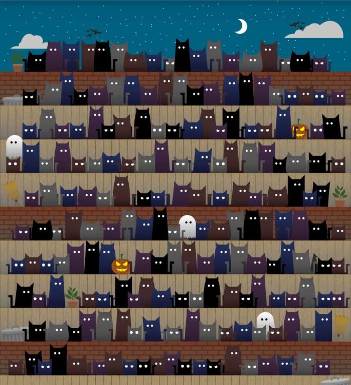 Uhørt optisk illusion: Kun genier kan finde en heksehat blandt kattene