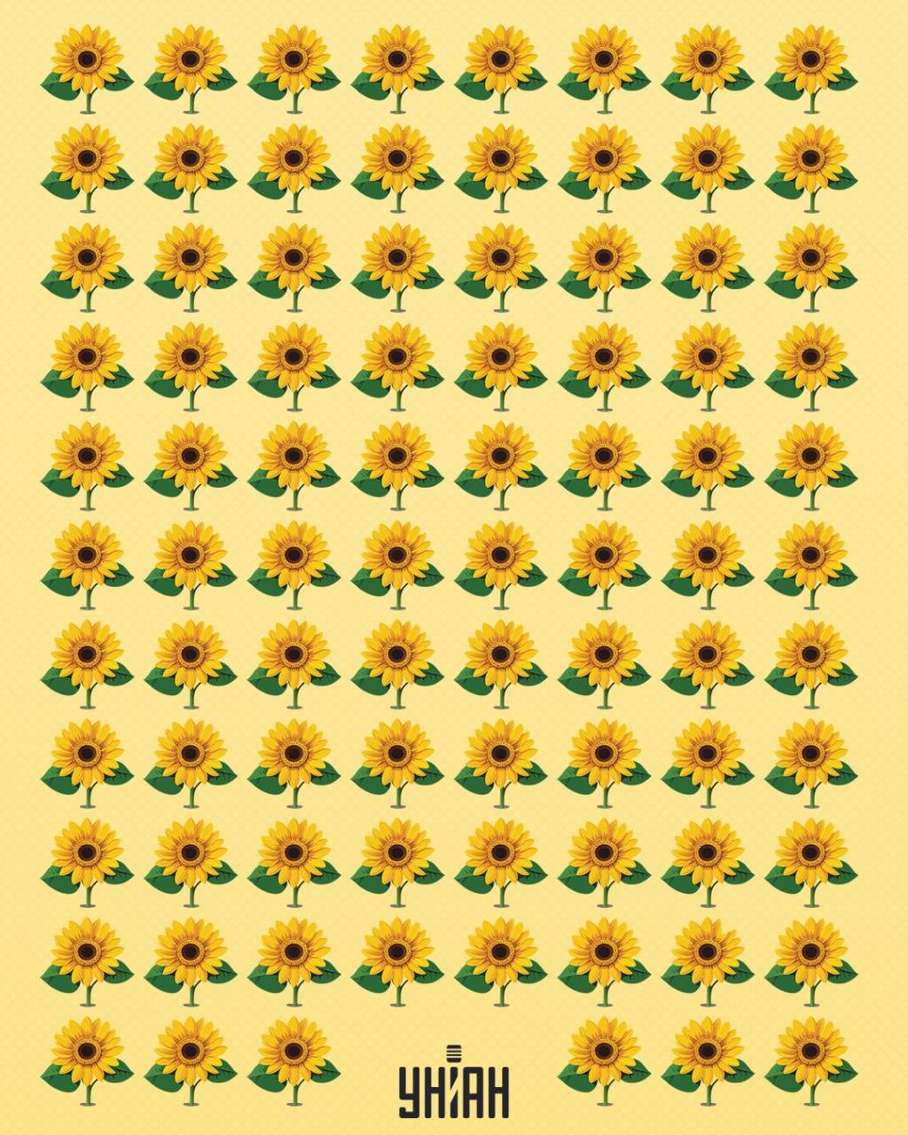 Du skal finde en solsikke, der er anderledes end resten / Moje-collage