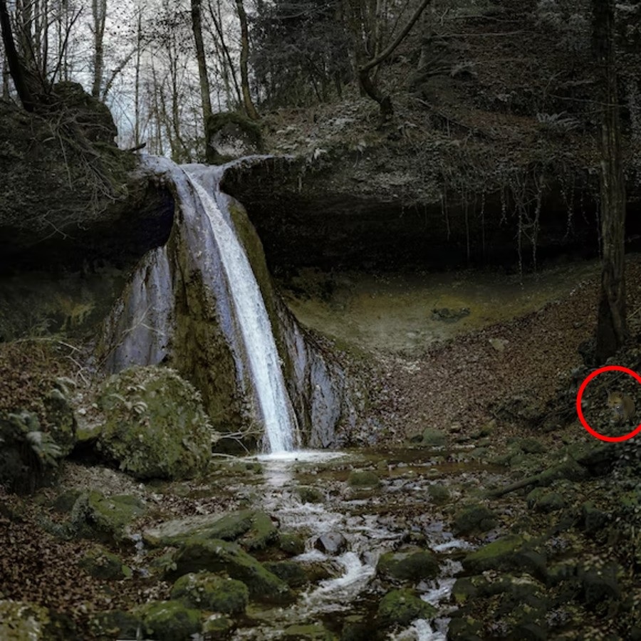 Optisk illusion