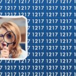 Find et ekstra ciffer blandt hundredvis af “1217” på 11