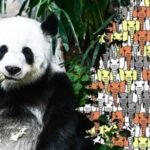 Hurtig IQ-test: Kun 1 procent af befolkningen kan finde en